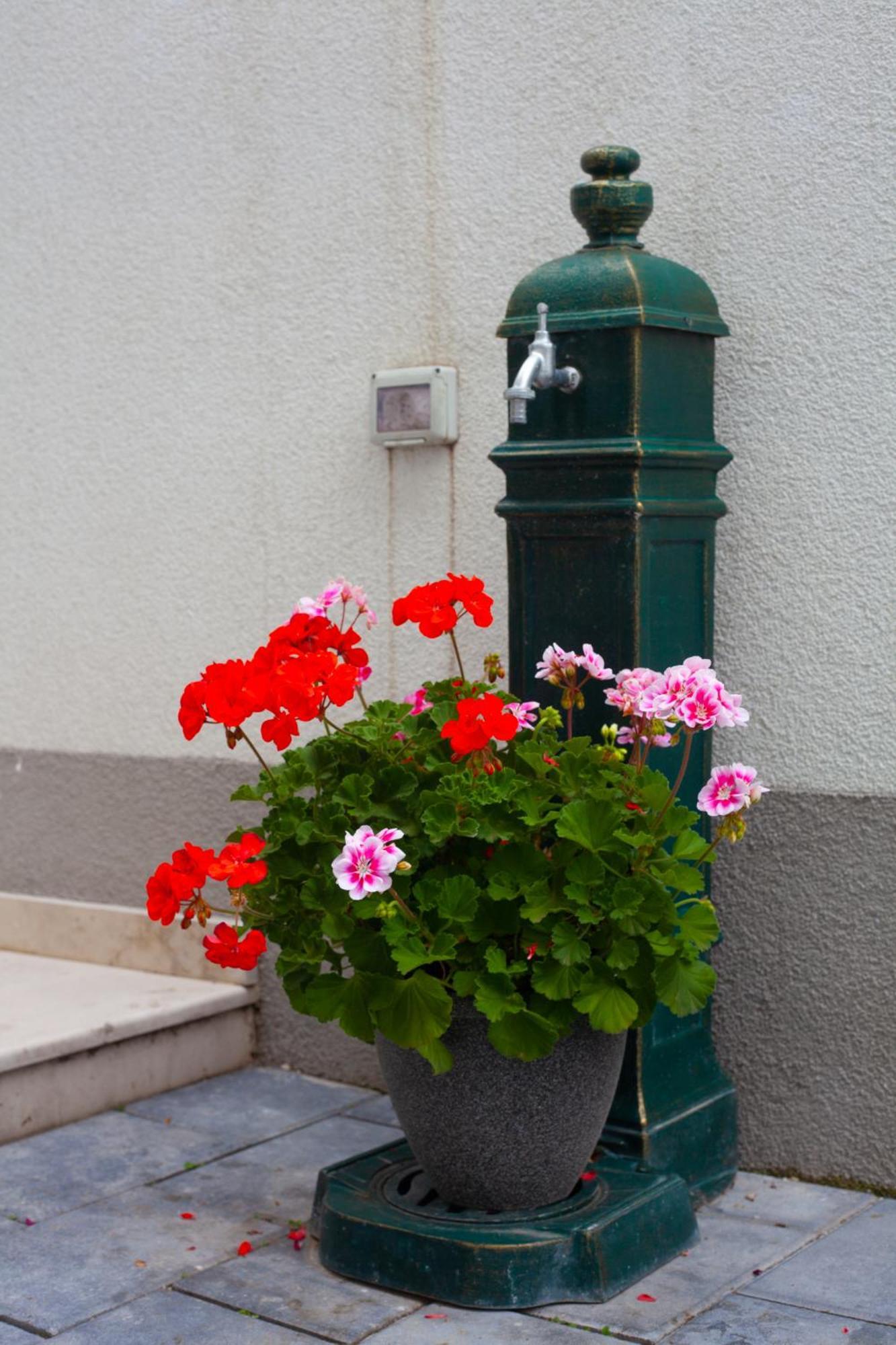 Arini White House Daire Sibiu Dış mekan fotoğraf