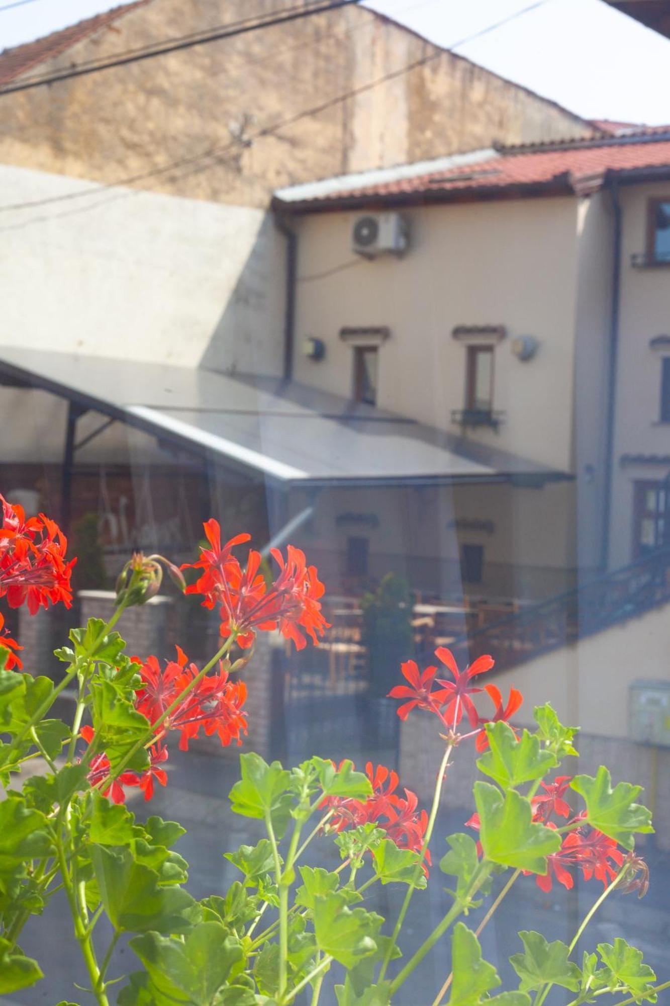 Arini White House Daire Sibiu Dış mekan fotoğraf